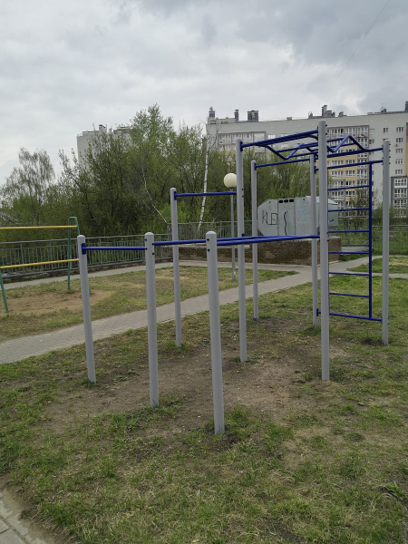 картинка Площадка Пионер Workout №2 от магазина Лазалка