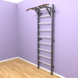 Шведская стенка "LittleSport" Pull-Up (черный*белый)