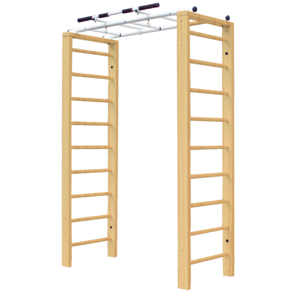 Домашний комплекс с рукоходом Luca